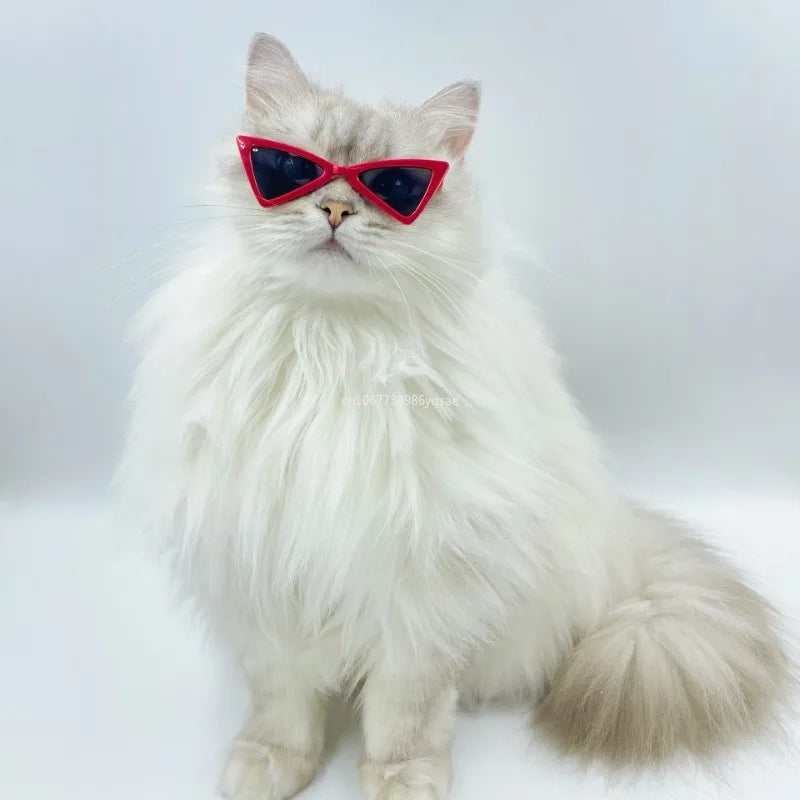 Pet Products Lovely Vintage Triangle Cat Sunglasses Reflection Eye Wear Glasses for Small Dog Cat Pets Photos Props Accessories